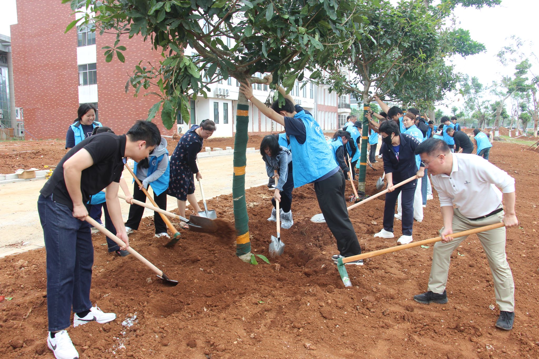 英国上市公司365