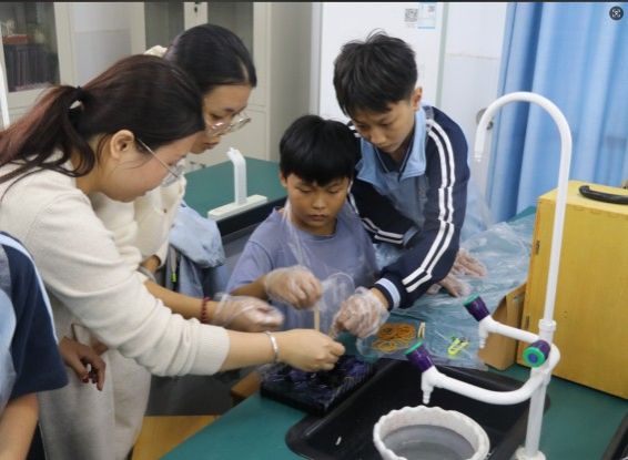 英国上市公司365