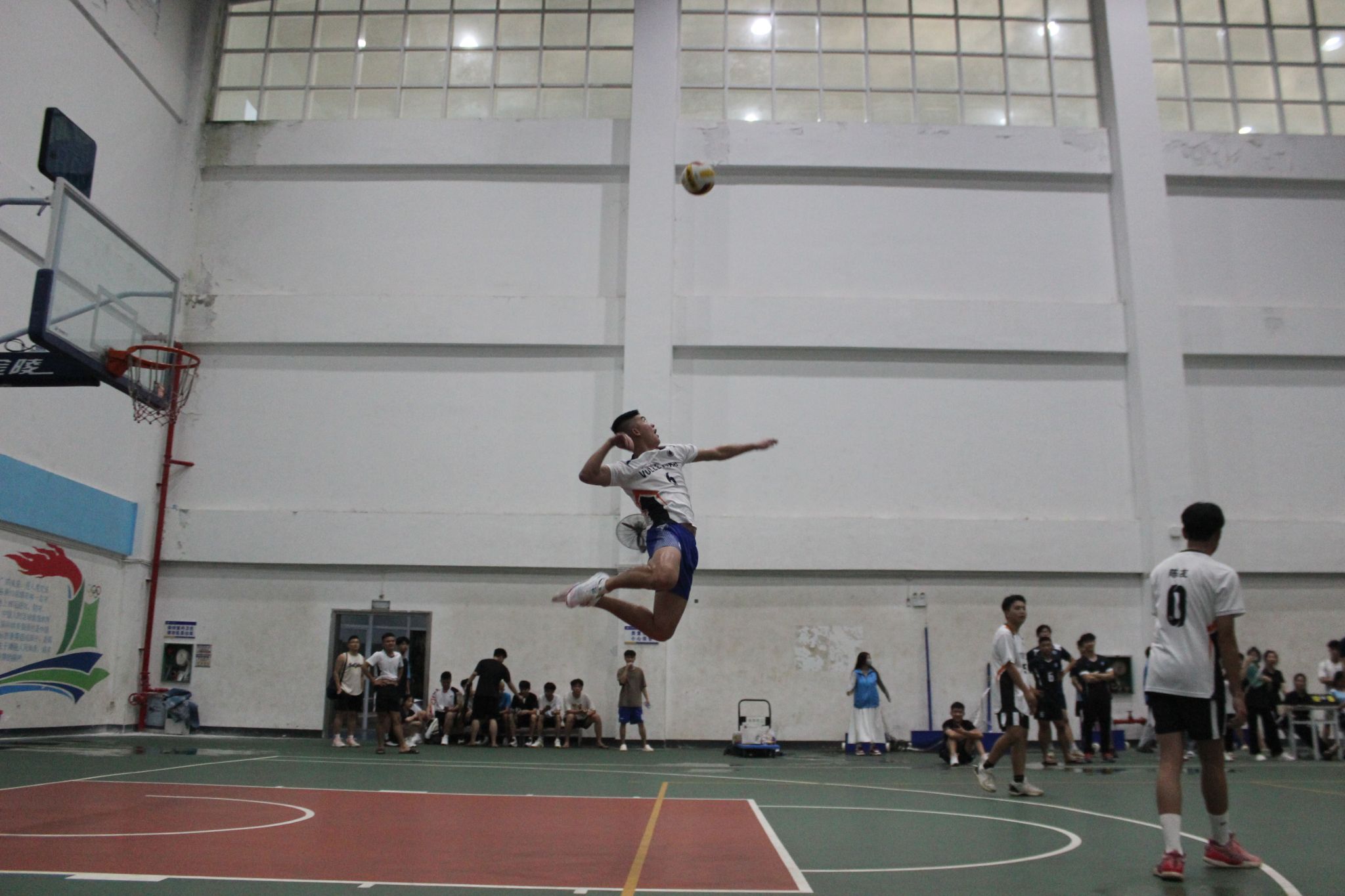 英国上市公司365