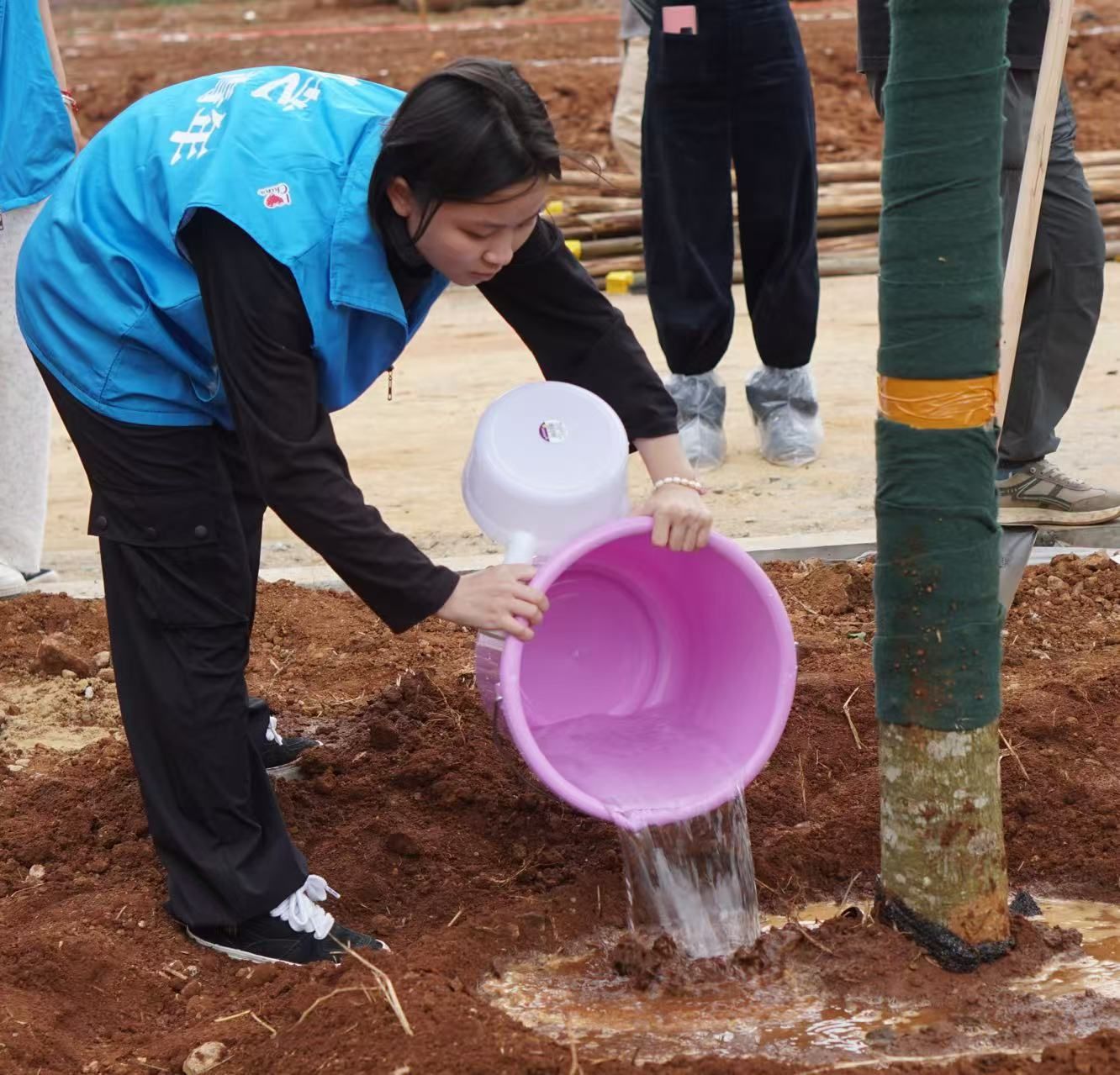 英国上市公司365