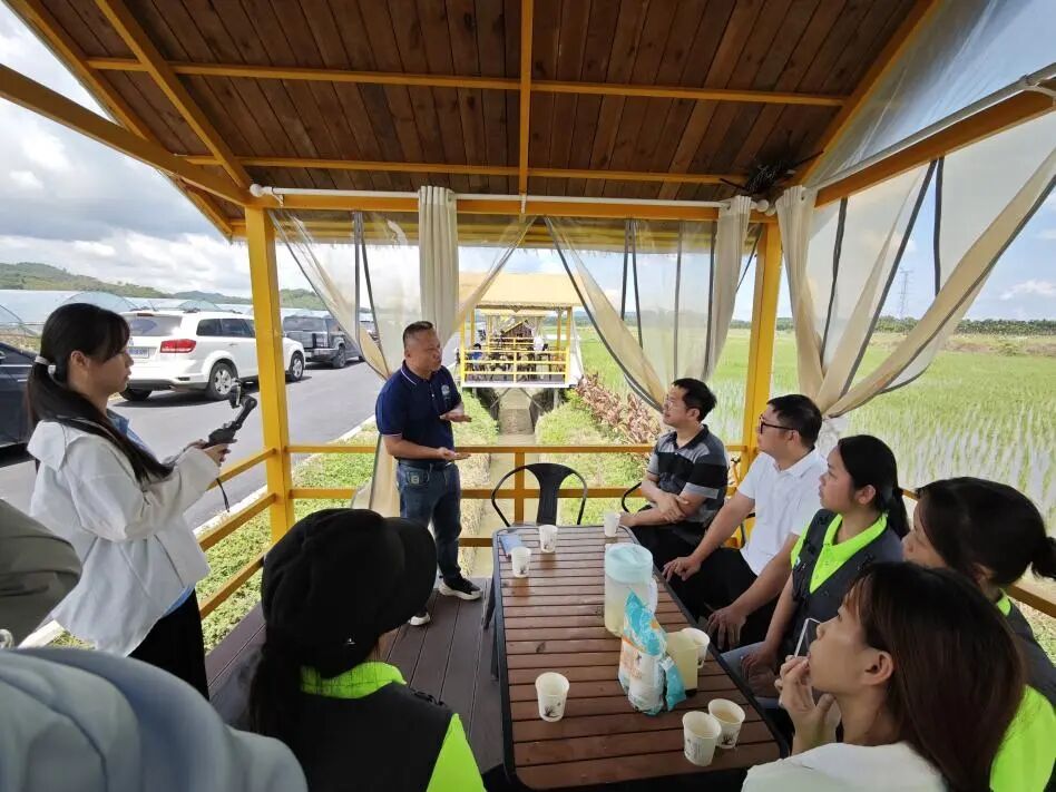 英国上市公司365