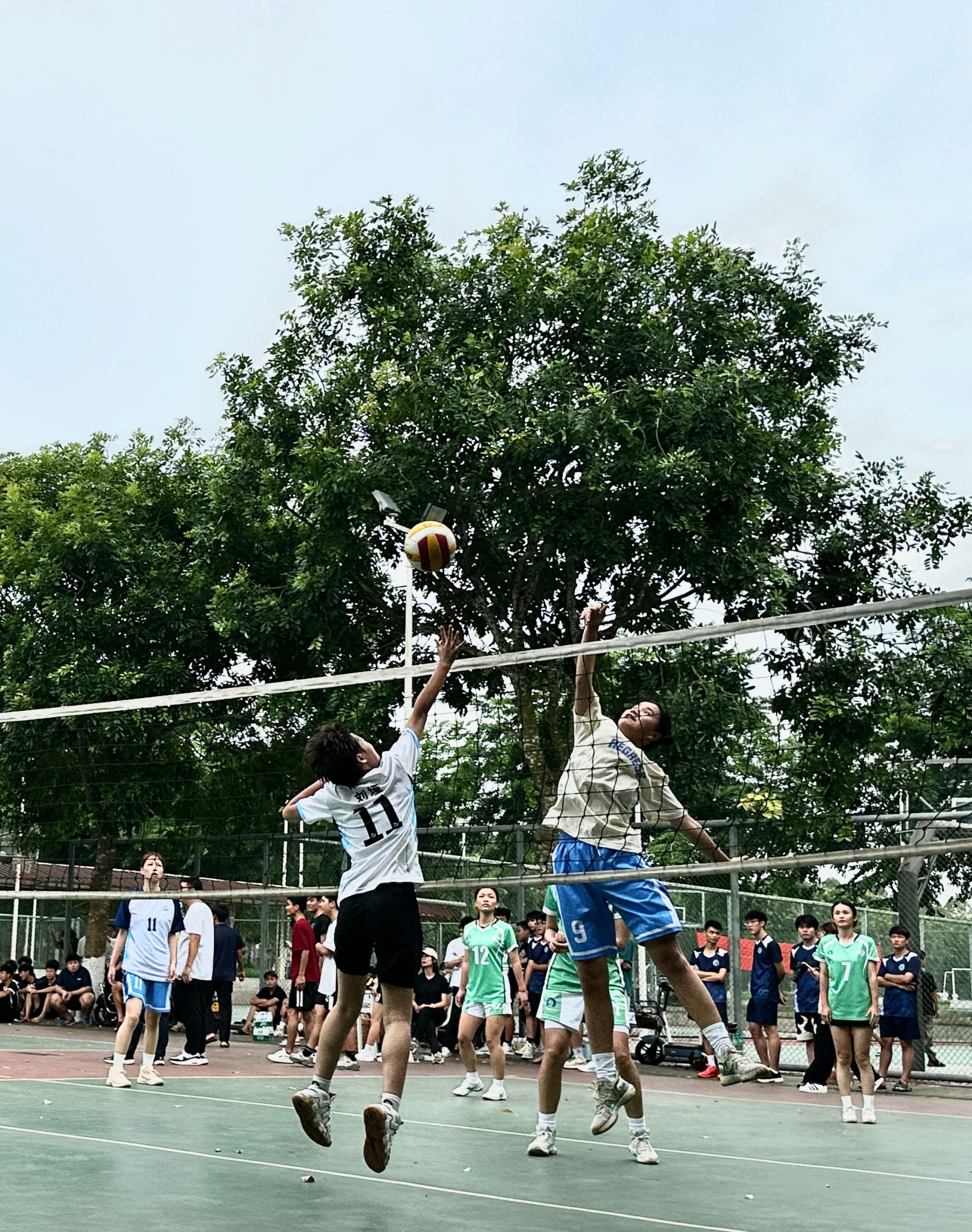 英国上市公司365