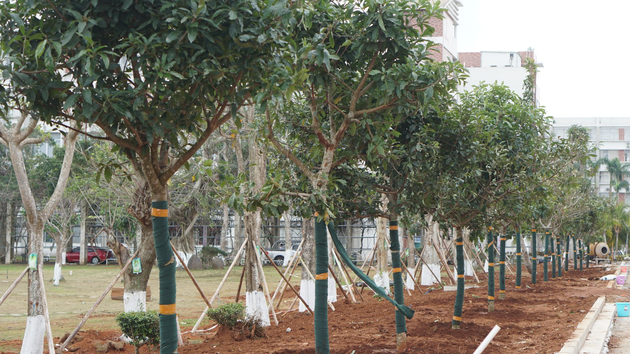 英国上市公司365