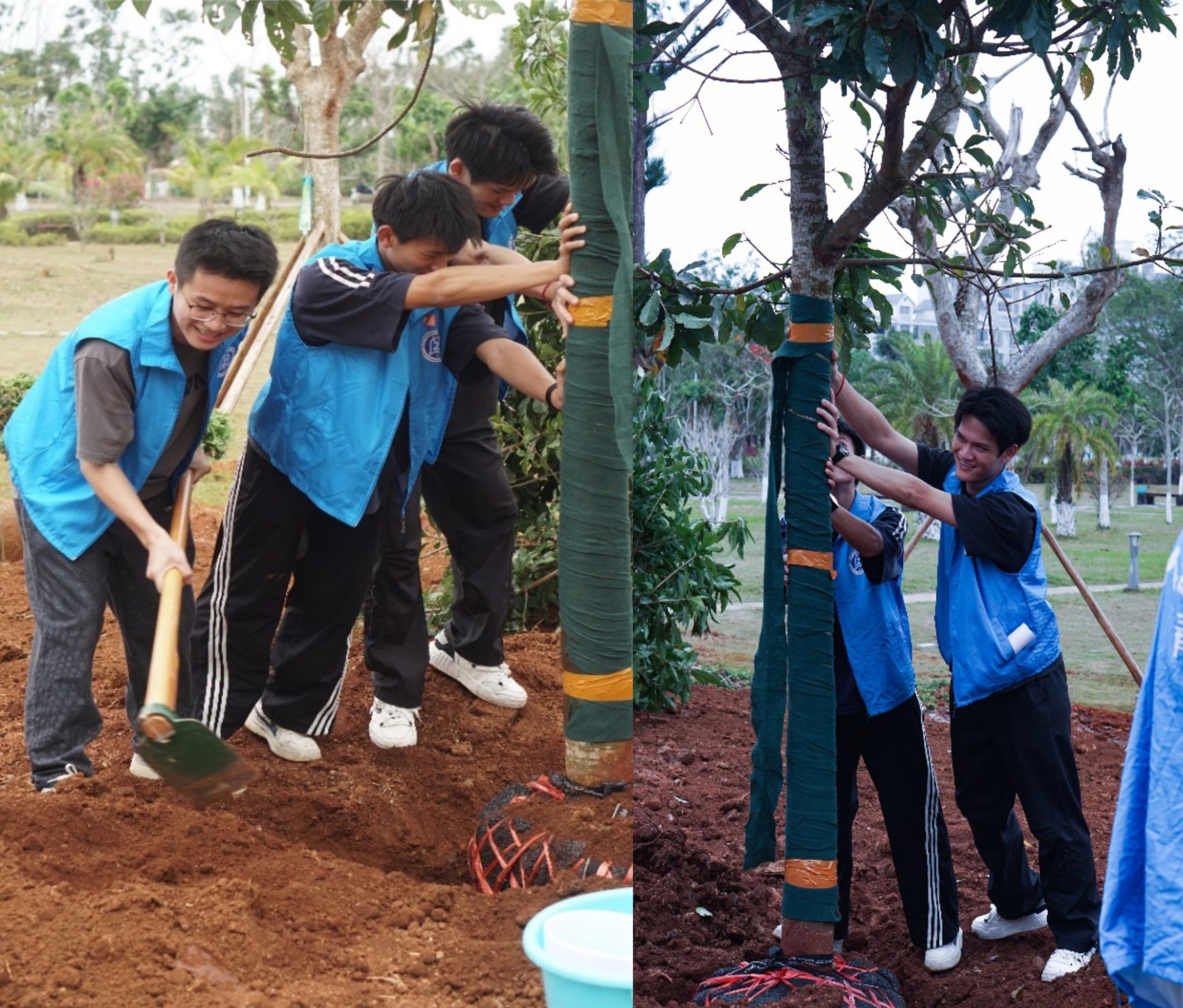 英国上市公司365