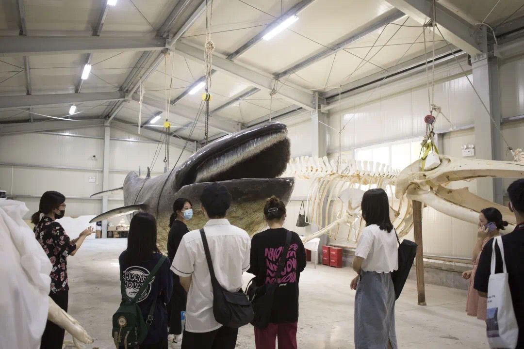 英国上市公司365