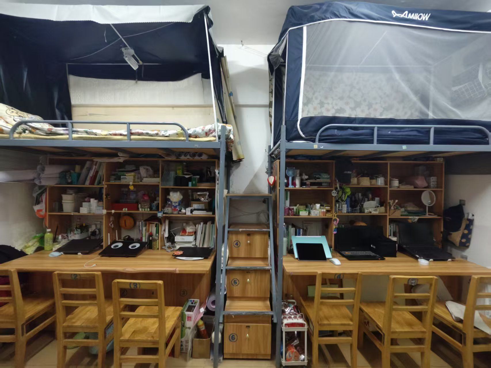 英国上市公司365